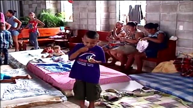 tn7-dafnificados-090715