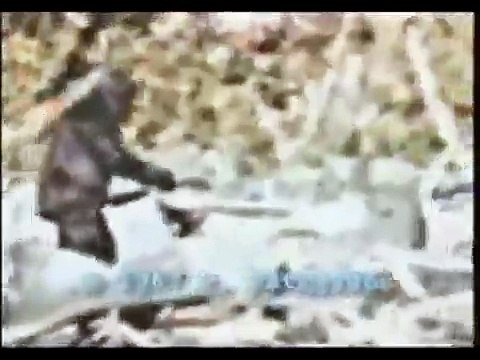 Bigfoot caught on tape (Patterson footage stabilized)