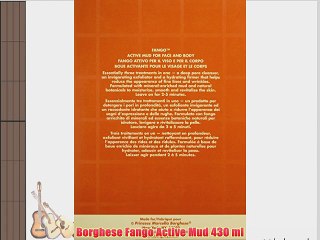 Borghese Fango Active Mud 430 ml