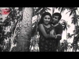 All songs Of Nateeja | Vinod Khanna- Bindu - Mohd. Rafi