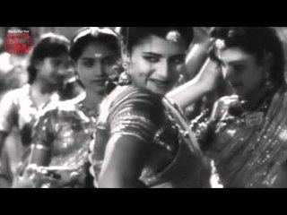 All Songs from Hindi Film Patanga 🎶