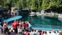 Vancouver Aquarium Disruption - Empty the Tanks - June 6 2015