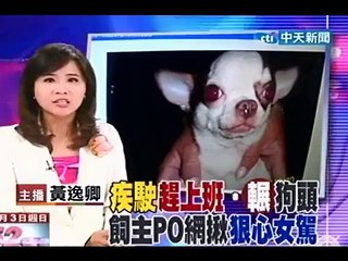 輾死吉娃娃不停車 女駕駛嗆趕上班肇逃