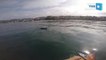 Beach Cruisers: 5 Dolphins in Laguna Beach