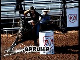 Rainbow Glass Ranch Performance Horses 2012