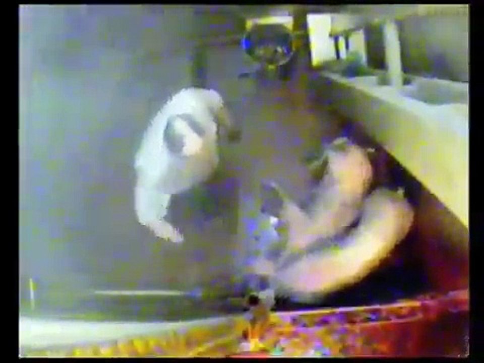 English slaughterhouse for pigs