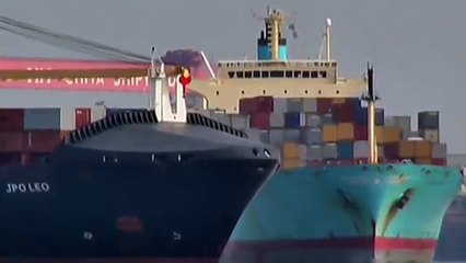 CONTAINER SHIP M/V "JPO LEO" (MOL)  &" SEA-LAND COMET" (MAERSK LINE)
