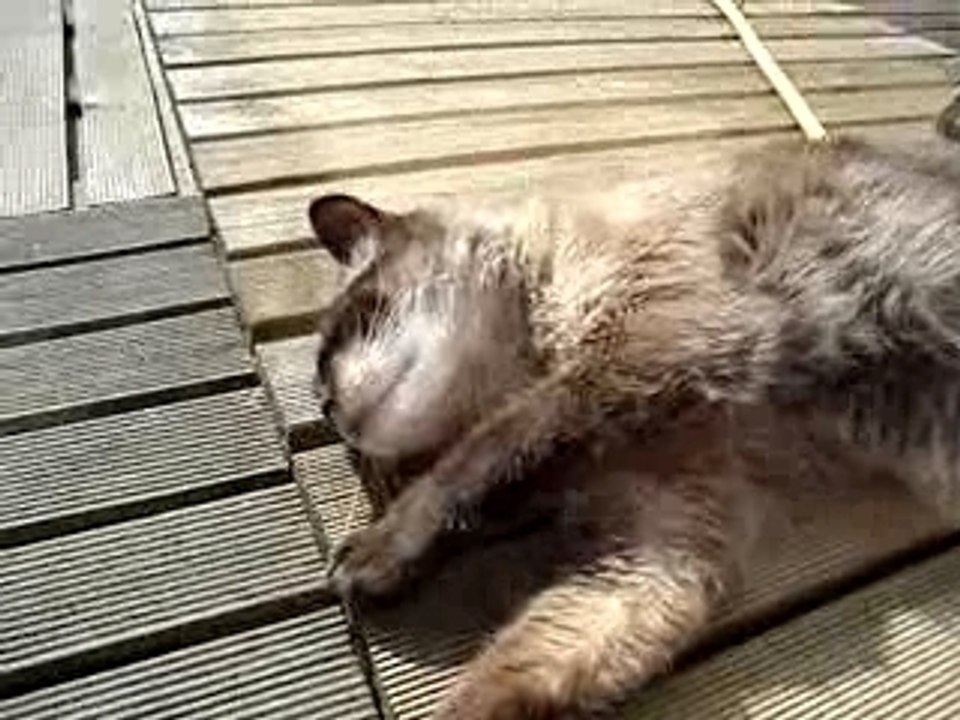 doudou au soleil