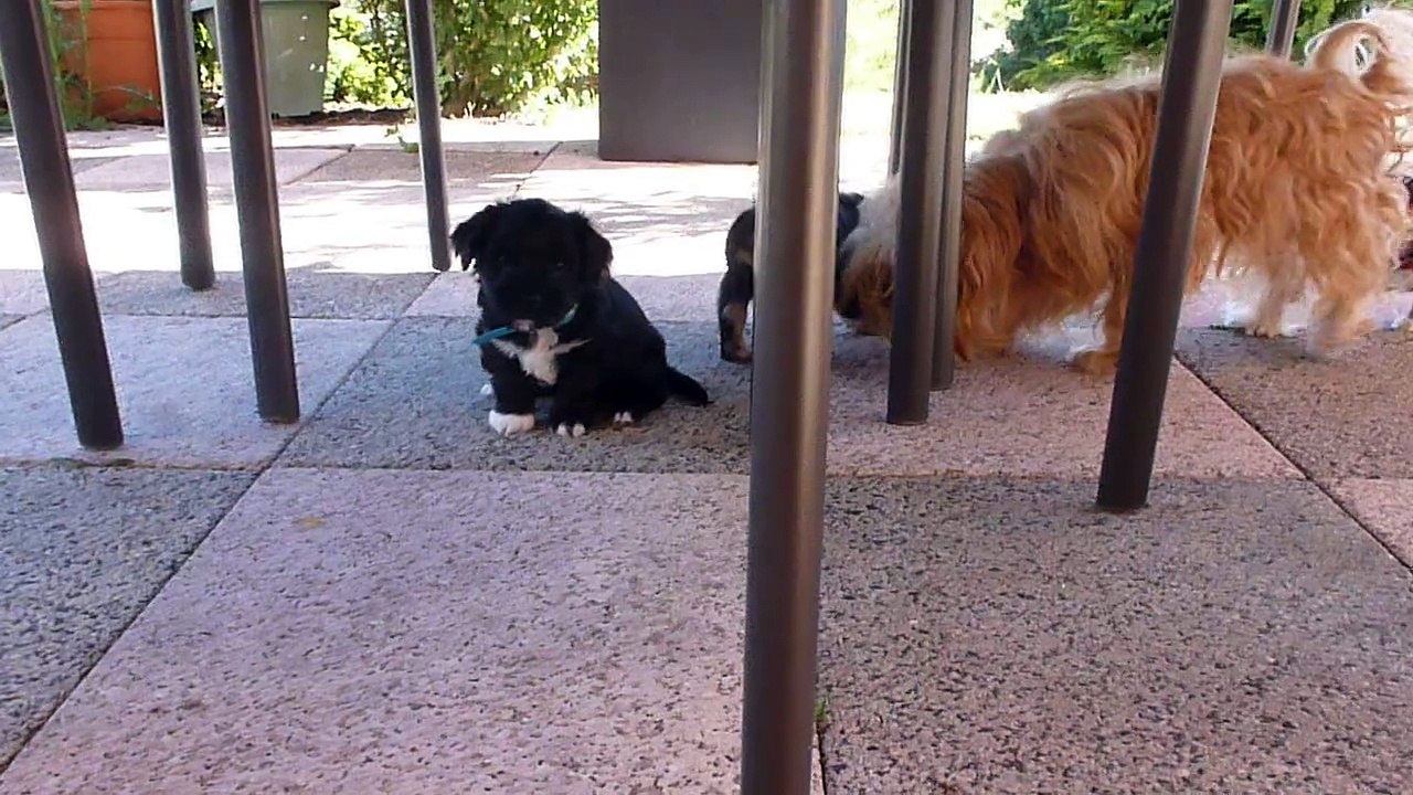 on est quand même mieux à l'ombre