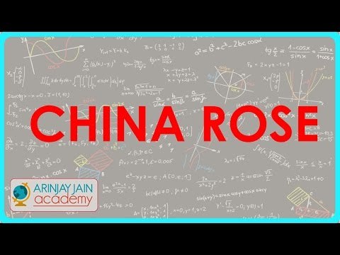 1289. Acid, Bases and Salt China Rose