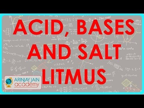 1288. Acid, Bases and Salt Litmus