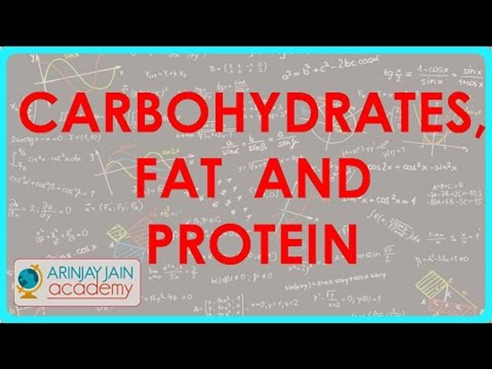773.ed for carbohydrates, fat and protein