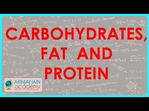773.ed for carbohydrates, fat and protein