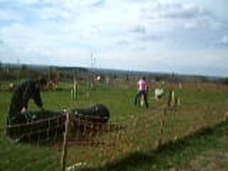 Agility Cesancey 31/03/07 - mov 1