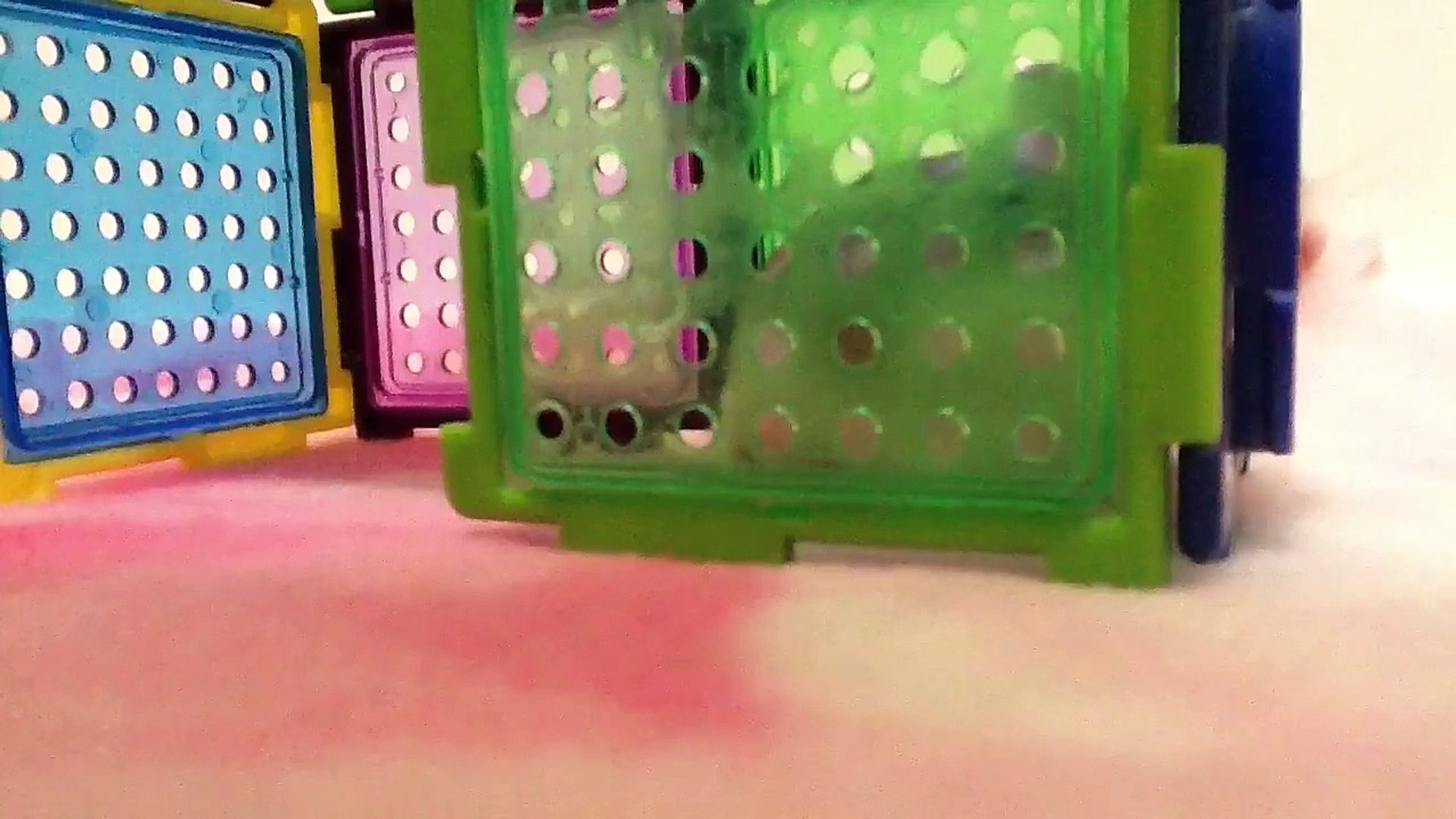 ⁣Robo Hamsters Playing