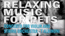 Relaxing Classical Music for Dogs, Puppies and Kittens   Tomaso Albinoni   Concerto