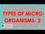 803.Biology   Types of microorganisms   Part II