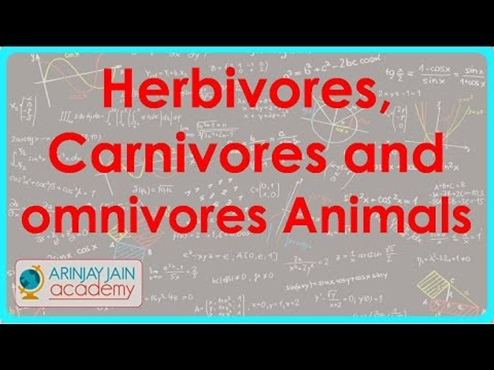550.Class VI - CBSE, ICSE, NCERT -  Food - Herbivores, Carnivores and omnivores Animals