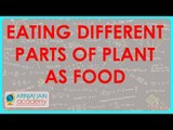 551.Class VI - CBSE, ICSE, NCERT -  Food - Eating different parts of plant as food
