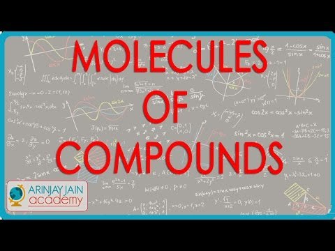 575.Class VI - CBSE, ICSE, NCERT - Molecules of Compounds