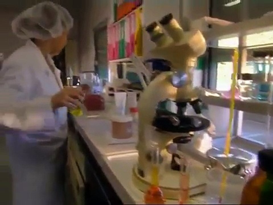 DOKU  Nostradamus   Prophet des Untergangs    Sphinx   Terra X