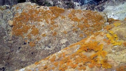 The Orkney Islands in Scotland - Video