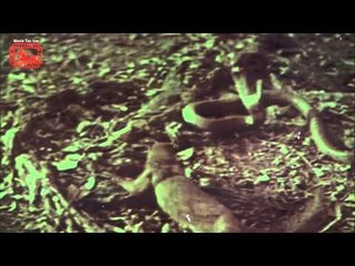 Thakur Plans To Get Mangala | Drama Scene from Karwa Chauth (1978) | Ramesh Deo and Kanan Kaushal