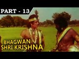 Bhagwan Shri Krishna [ 1985 ]  Hindi Movie In Part -  13 / 13 - Ranjeet Raj | Snehlata