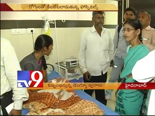 Dengue fever ring danger bells in Hyderabad