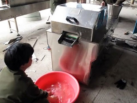 cắt nha đam hạt lựu, máy cắt nha đam vuông 0986561979