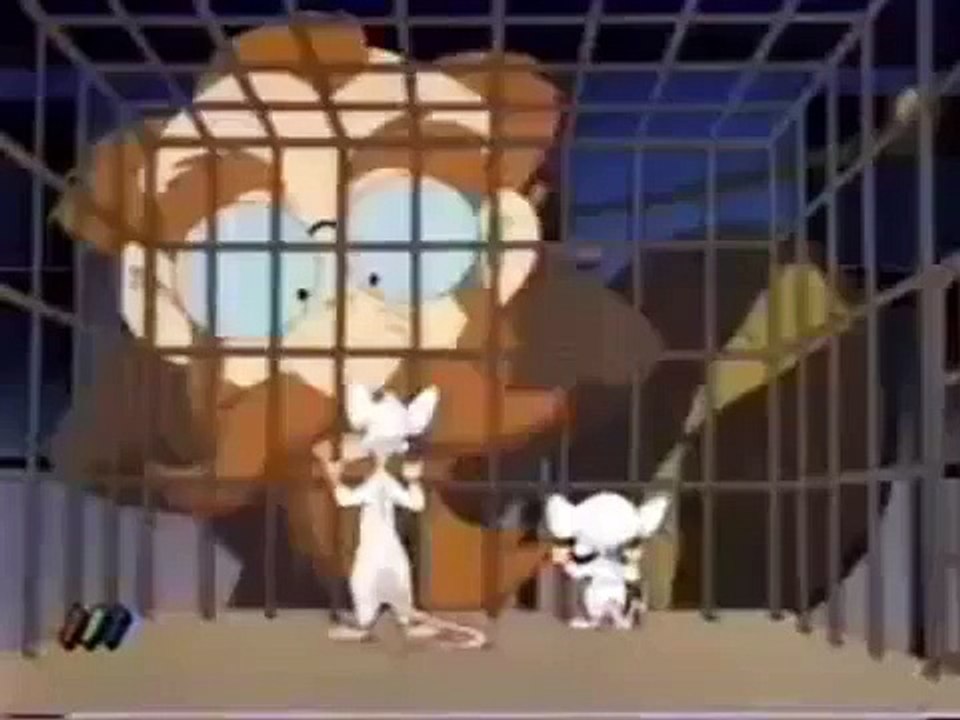 Condicionamiento Clasico Pinky y Cerebro