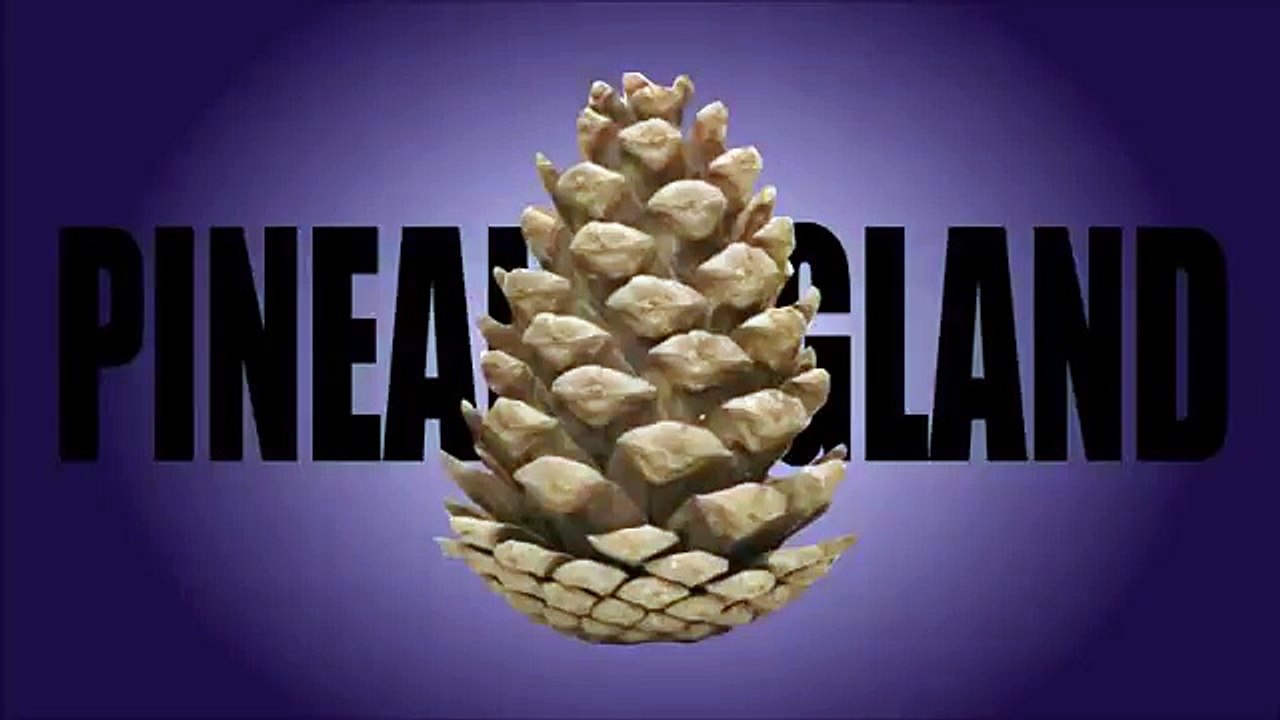 The Pineal Gland - How to Decalcify the Pineal Gland