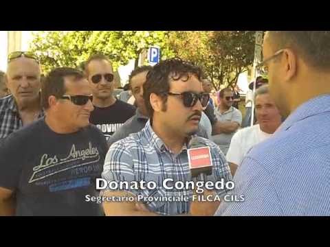 Intervista Donato Congedo - Segretario Provinciale FILCA CILS -