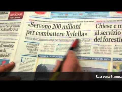 Rassegna Stampa 23 Aprile 2015 a cura della Redazione di Leccenews24