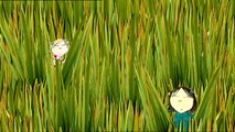 Charlie and Lola.S02E20.I Completely Know About Guinea Pigs