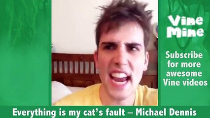 Feline Vines_ Funny Cat Vines