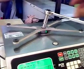 BASCULAS TORREY CALIBRACION  PCR