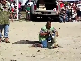 Crocodile Feed By A Man