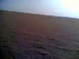 Comment attraper un vautour  (1)