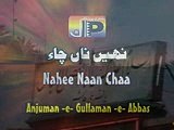 NAI NA CHA SAKDE KATEL DA NOHA BY PARTY GHULAM E ABBAS HAIDER TOWN Pindi gheb