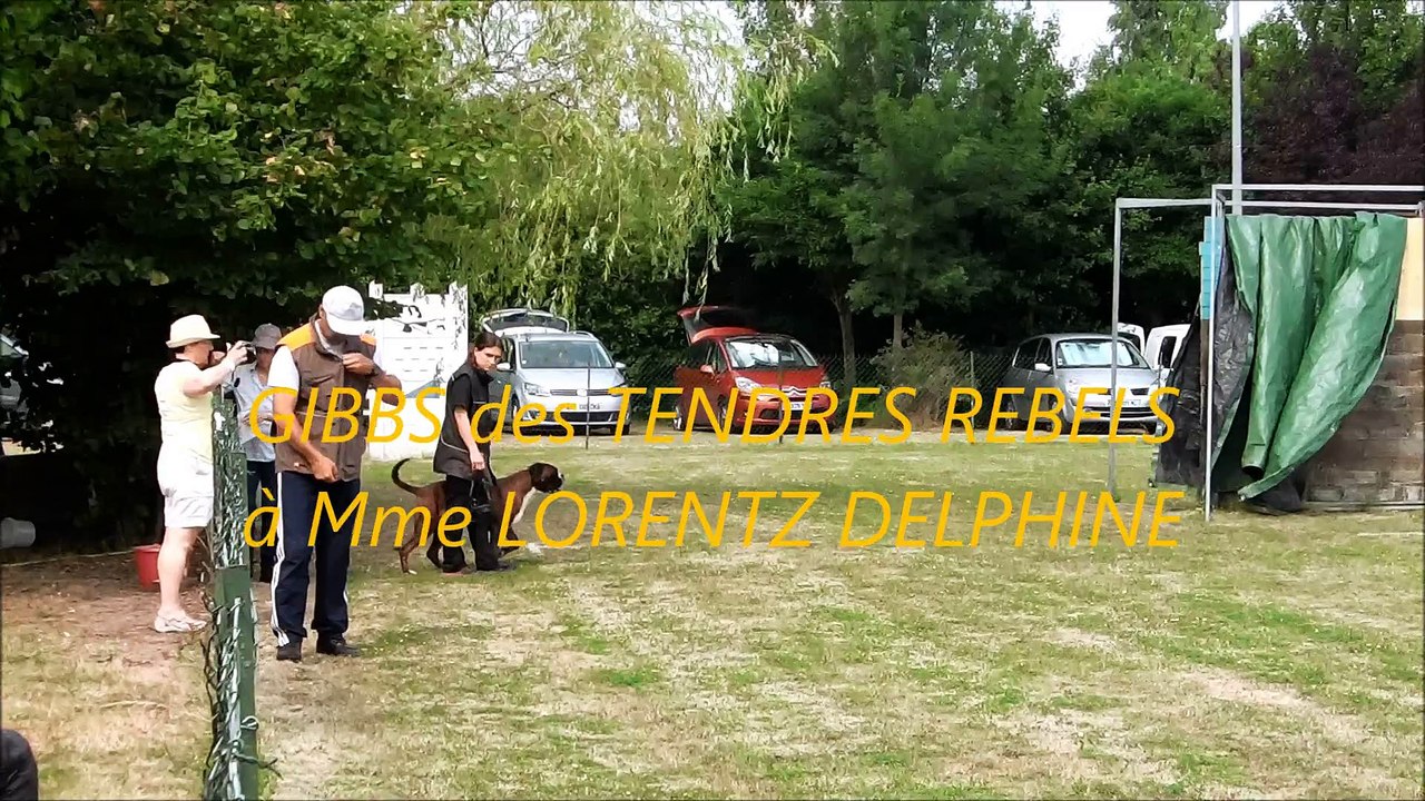 CONCOURS RING   GIBBS LANGEAIS 2015