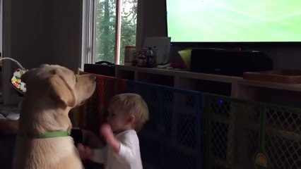 Regarder USA si intensément que même le bébé ne peut pas l' éliminer !