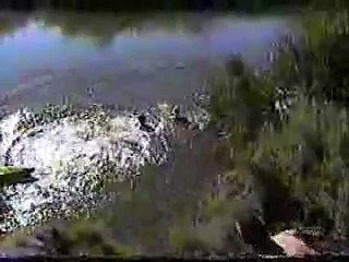 Saut en vélo dans un étang (1)