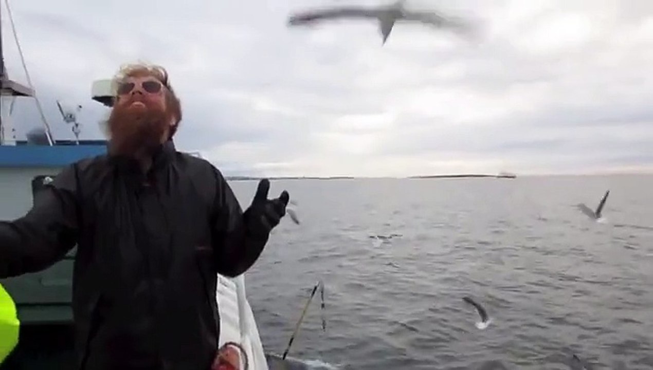 Un pêcheur attrape un goéland en vol (1)