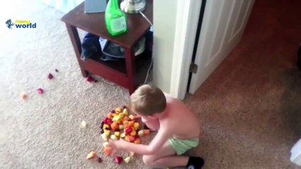 Funny Babies Licking Glass Compilation HD