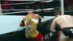 WWE Raw 15 February 2016-Sheamus vs Ryback Full Match Highlights