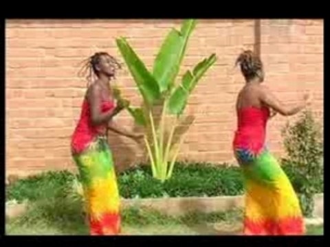 Madagascar - Jerry Marcoss