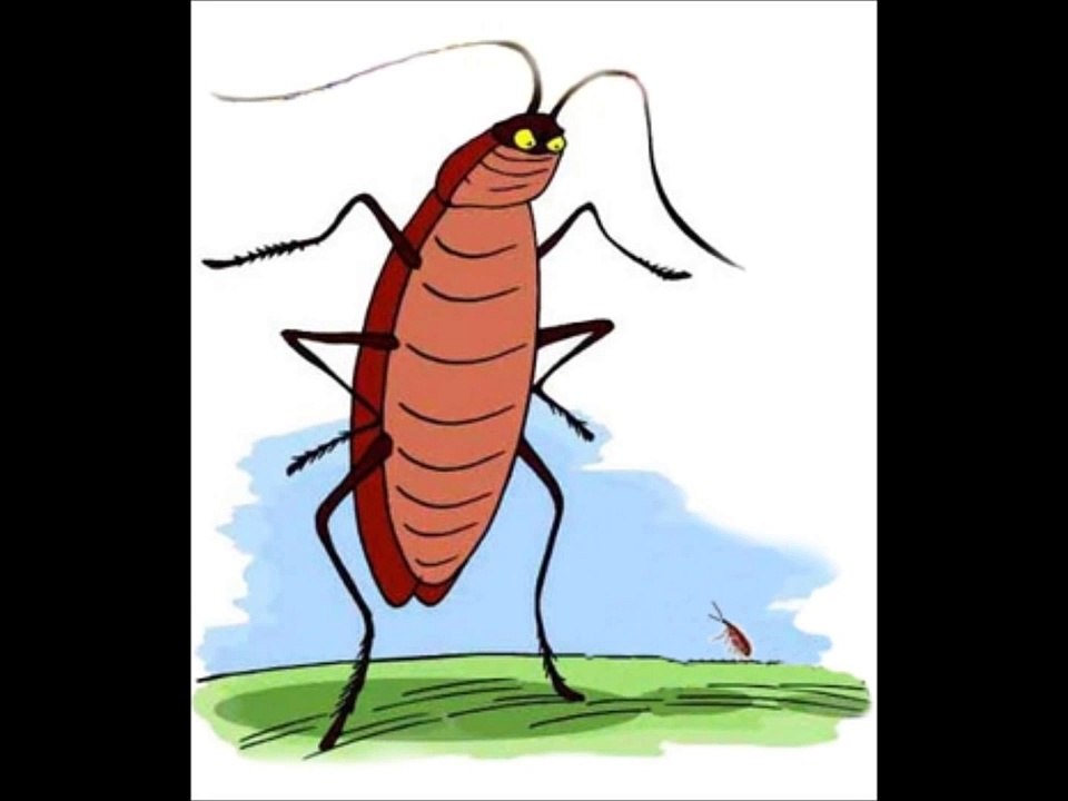La Cucaracha-Revolución Mexicana