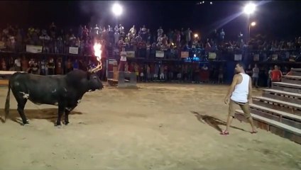 Bull with flaming horns attacks taunting human