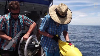 Une équipe de scientifique fait une incroyable découverte à l’intérieur d’un volcan sous-marin !